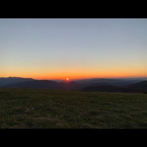 Meet your Posher, Hollis